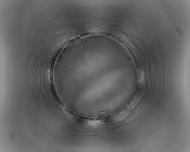 X0000113590669200909181333