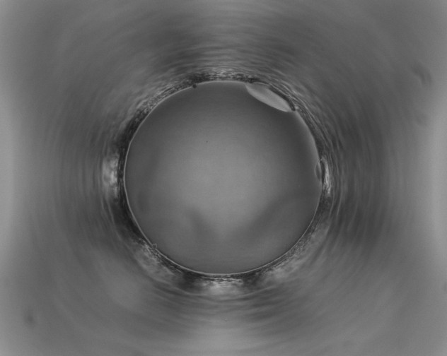 X0000113590670200909181333