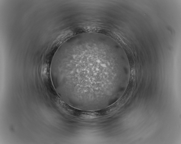 X0000113590671200909181333