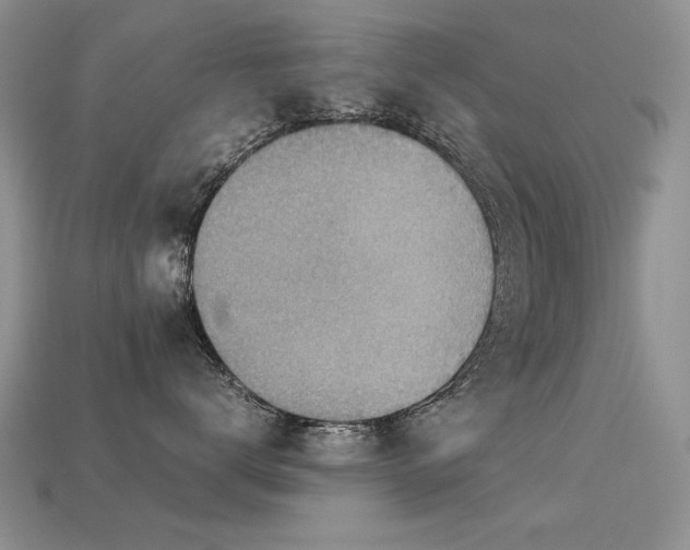 X0000113590672200909181333