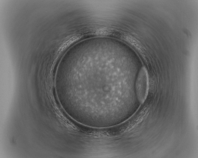 X0000113590673200909181332