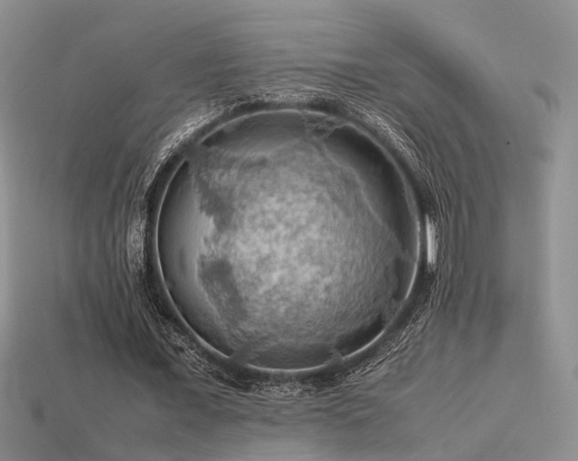 X0000113590675200909181332