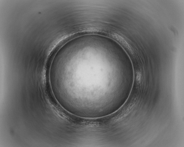 X0000113590676200909181332