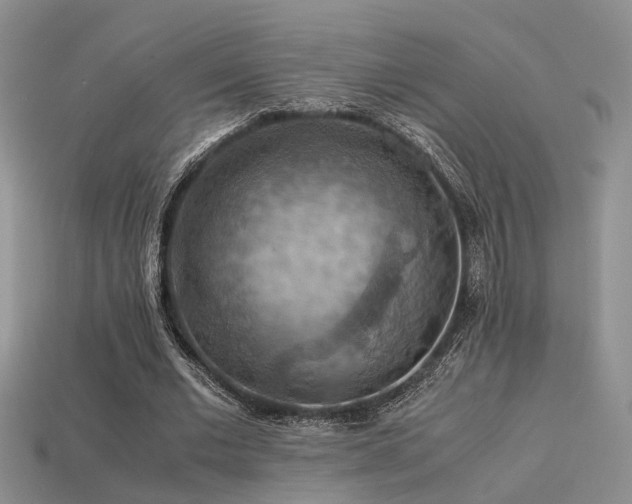 X0000113590677200909181332