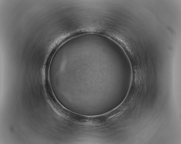 X0000113590678200909181332