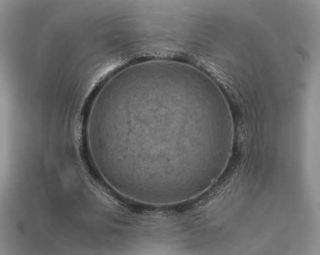 X0000113590679200909181332