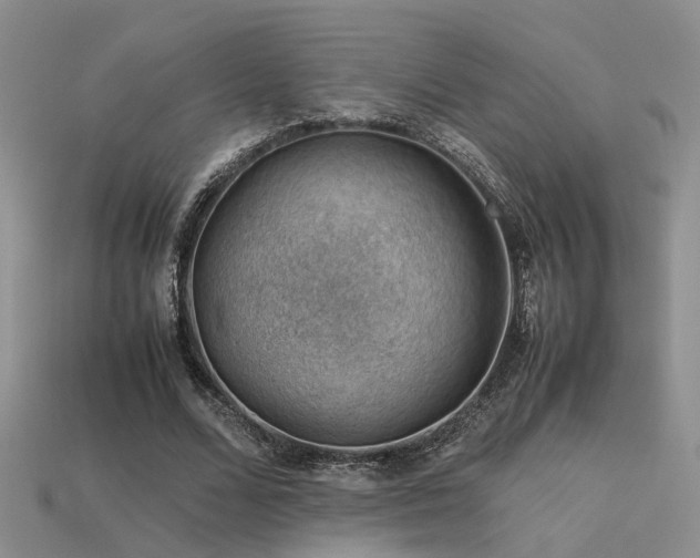 X0000113590680200909181332