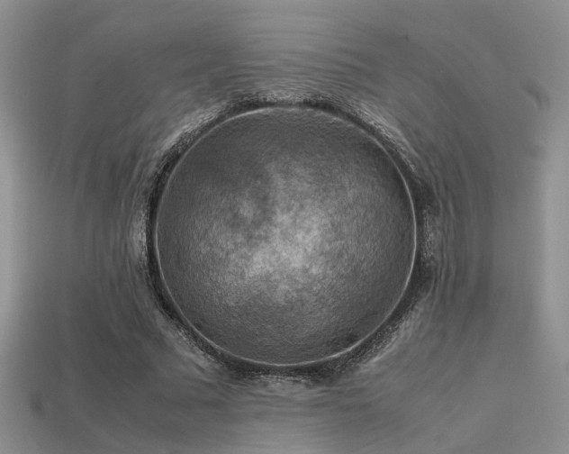 X0000113590681200909181332