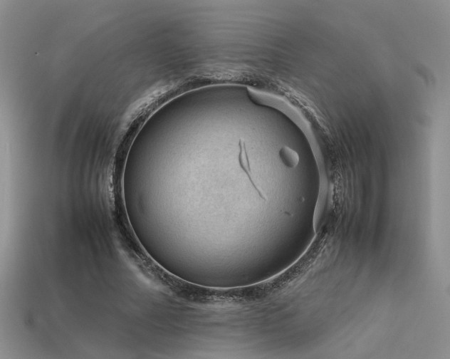 X0000113590682200909181332