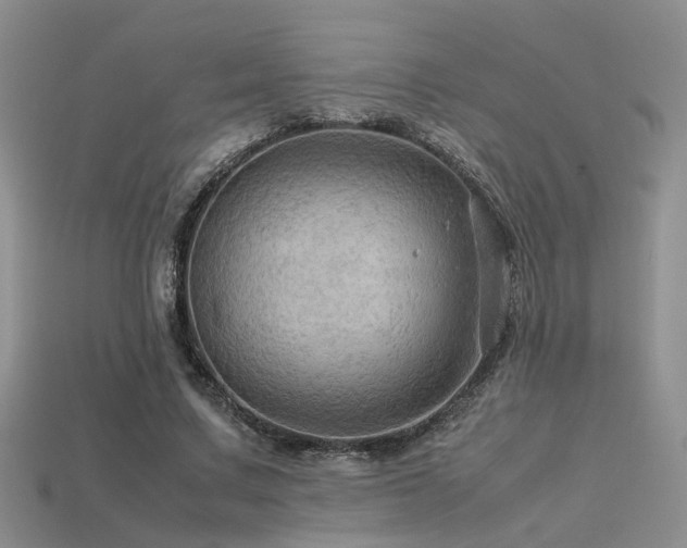 X0000113590683200909181332