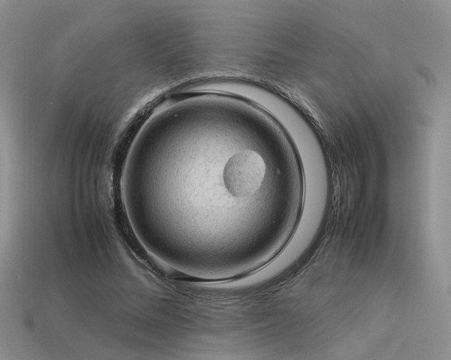 X0000113590684200909181332