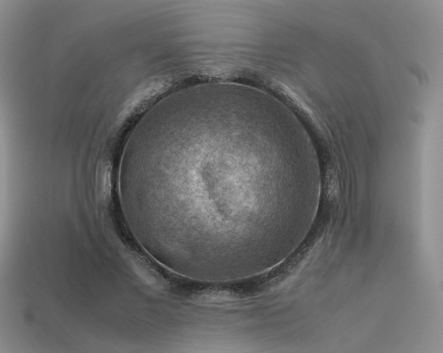 X0000113590685200909181332