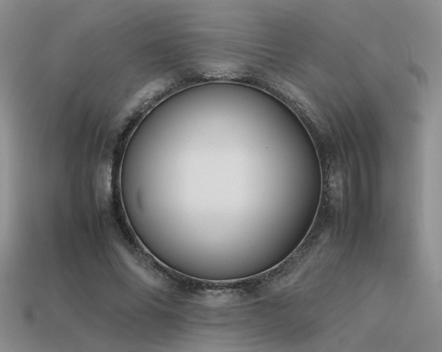 X0000113590686200909181332