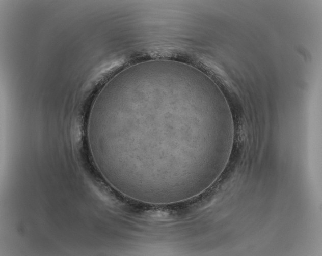 X0000113590687200909181332