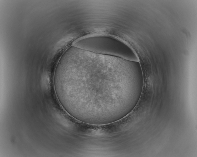 X0000113590688200909181332