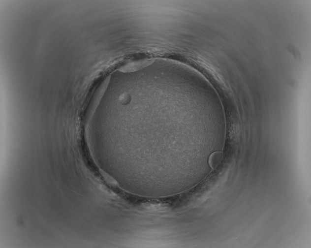 X0000113590689200909181332