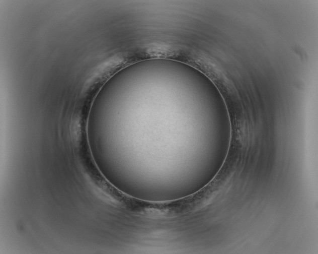 X0000113590690200909181332