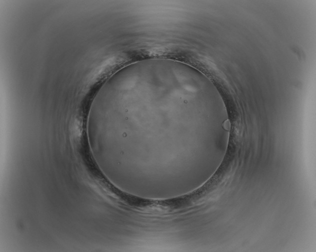 X0000113590691200909181332