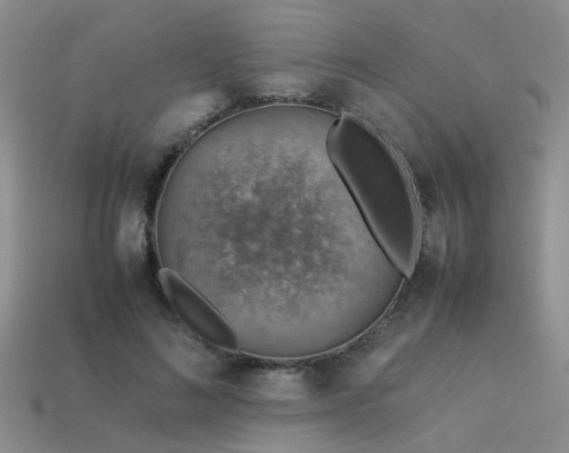 X0000113590692200909181332