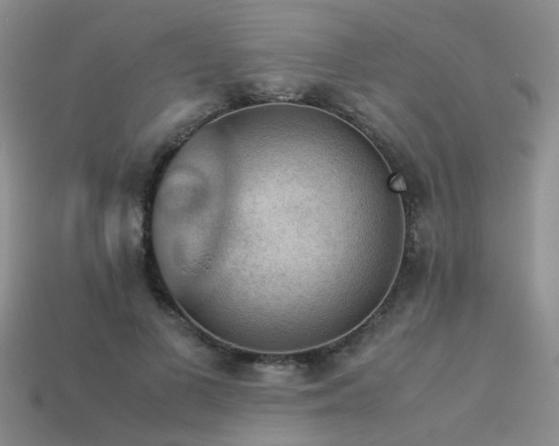 X0000113590693200909181332