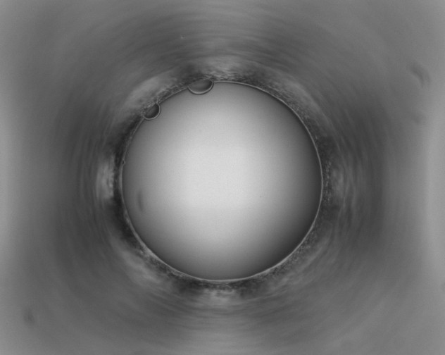 X0000113590694200909181332