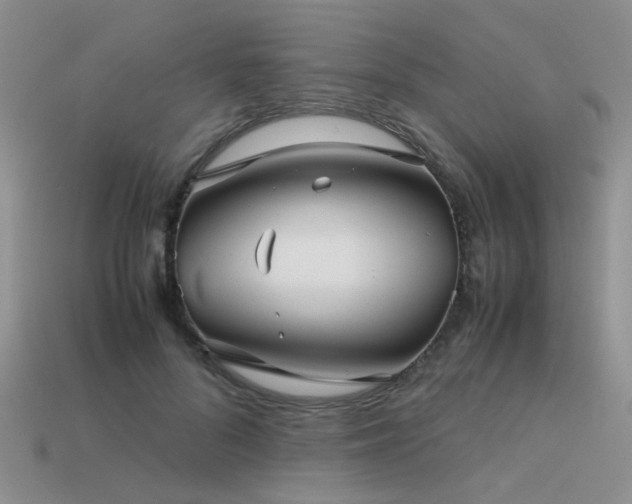 X0000113590696200909181332