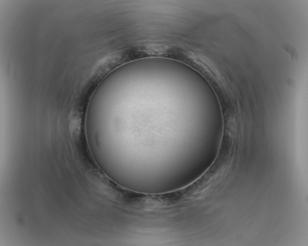 X0000113590697200909181332