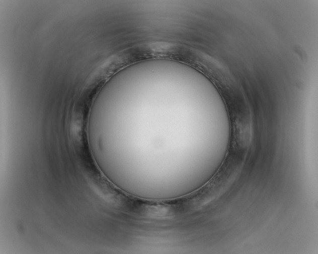 X0000113590698200909181332