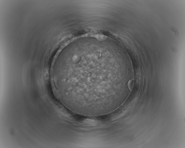 X0000113590699200909181332