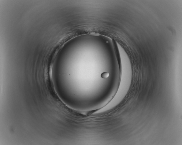 X0000113590700200909181332