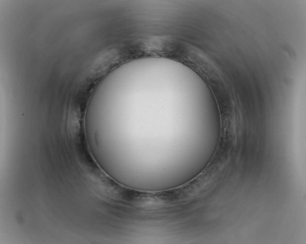 X0000113590702200909181332