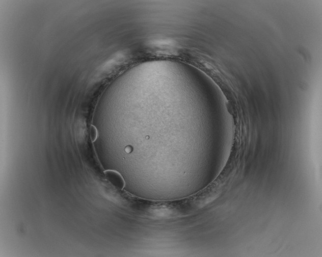 X0000113590704200909181332