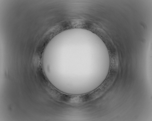 X0000113590705200909181332