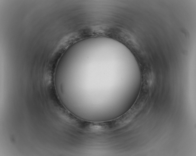 X0000113590706200909181332