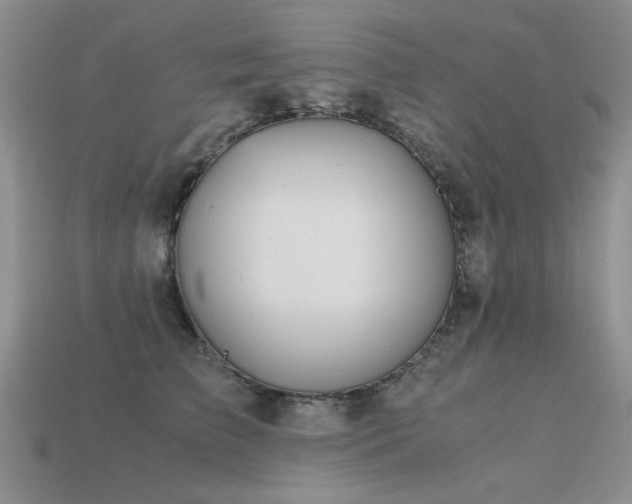 X0000113590709200909181332