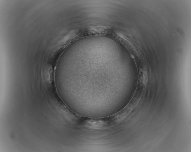 X0000113590712200909181332