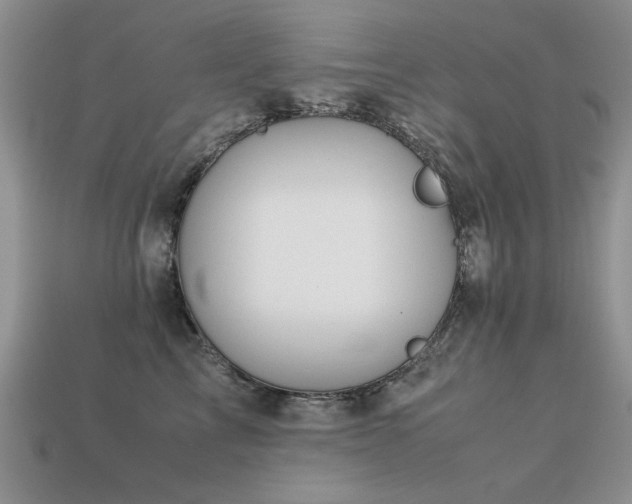 X0000113590713200909181332