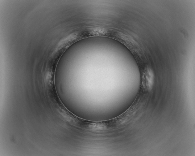 X0000113590714200909181332