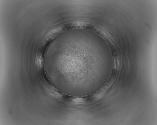 X0000113590718200909181332