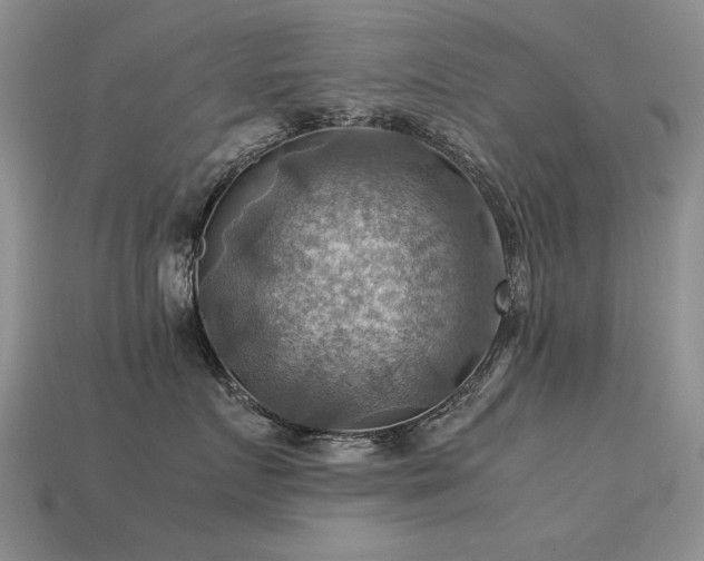 X0000113590719200909181332