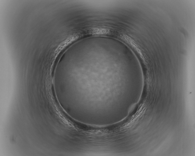 X0000113590721200909181331