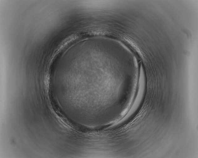 X0000113590722200909181331