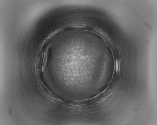 X0000113590723200909181331