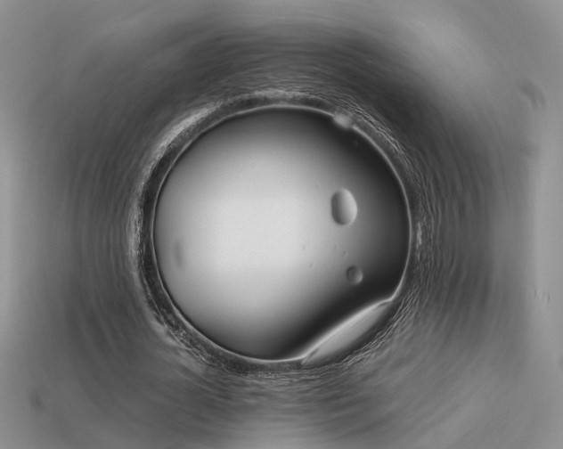 X0000113590724200909181331