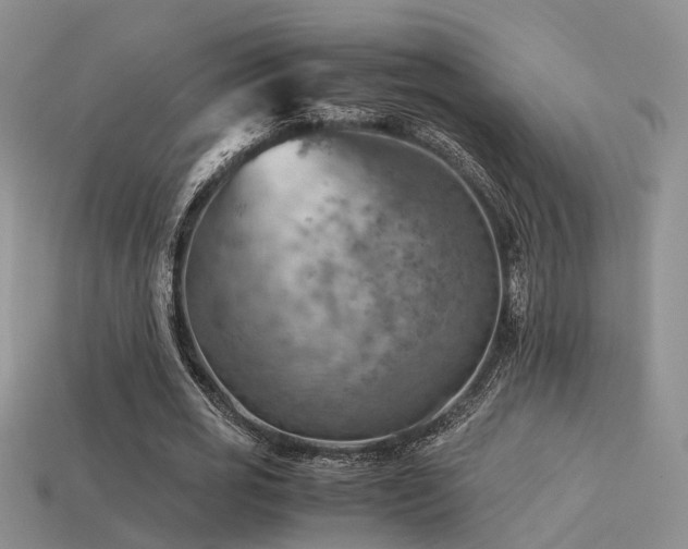 X0000113590725200909181331