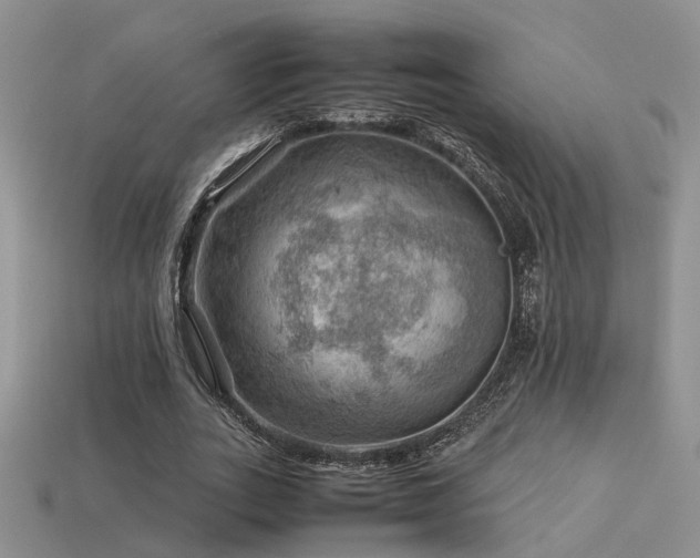 X0000113590727200909181331