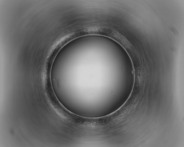 X0000113590728200909181331