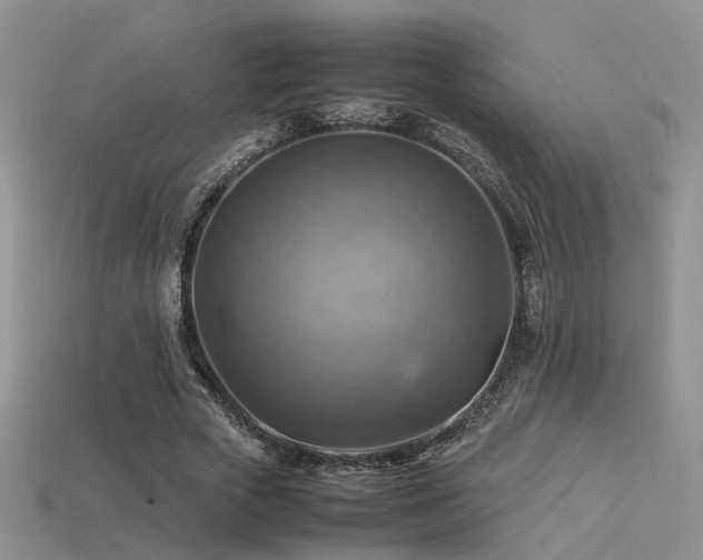 X0000113590729200909181331