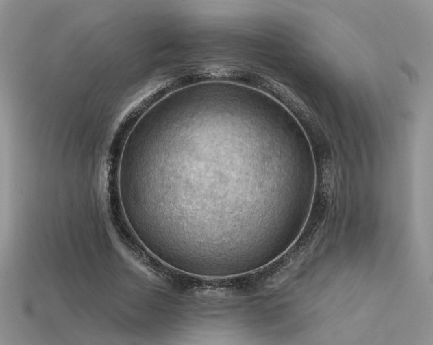 X0000113590730200909181331