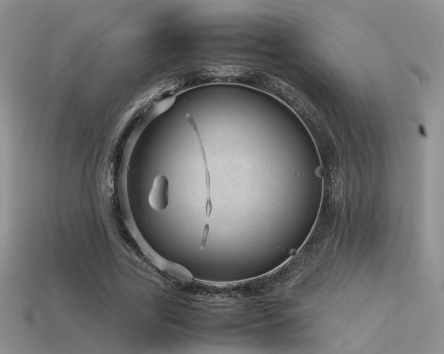 X0000113590731200909181331